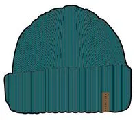 Compass Recycled Acrylic Beanie - Shaded Spruce