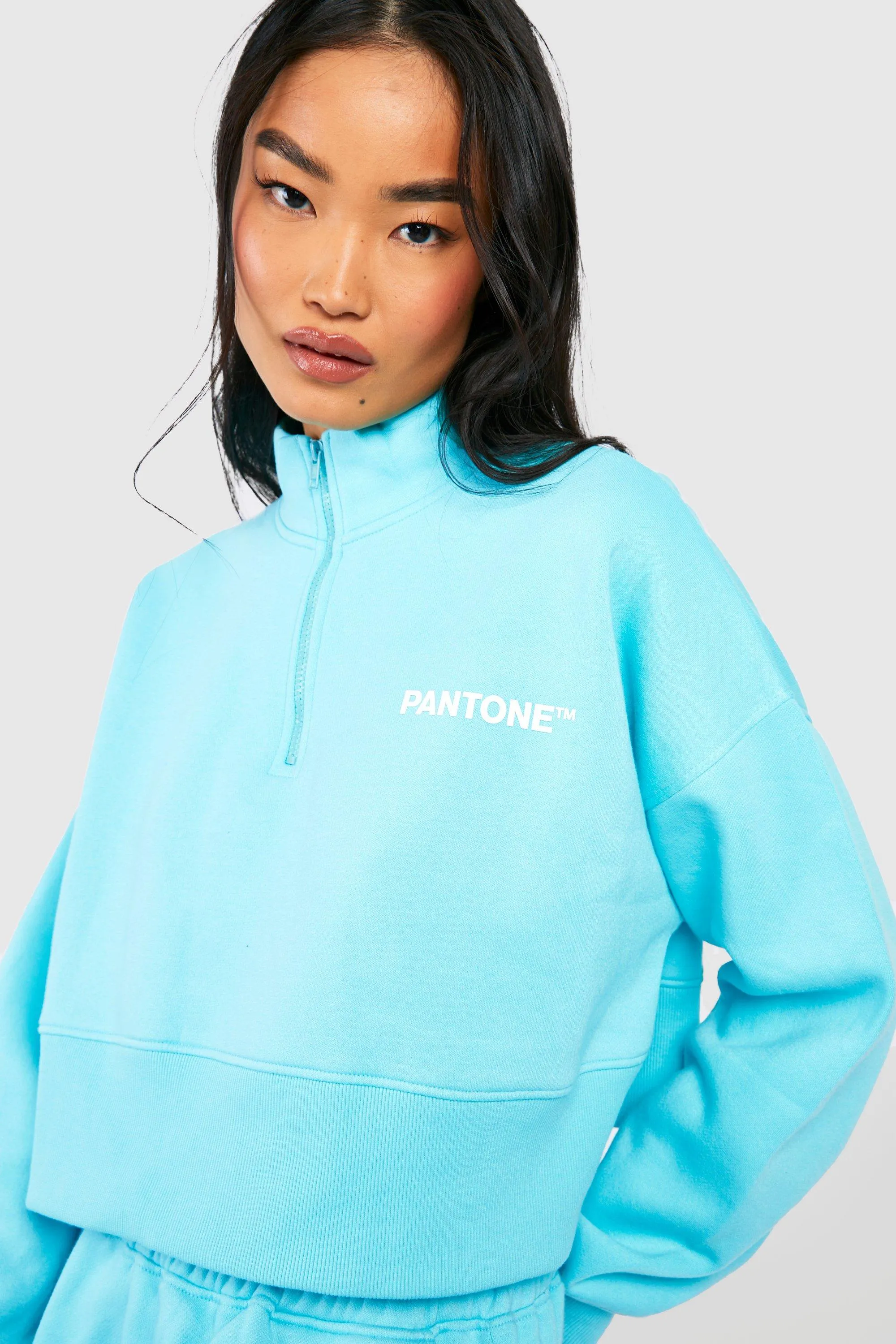 Hoodies & Sweatshirts | Pantone Half Zip Boxy Half Zip Sweatshirt | boohoo