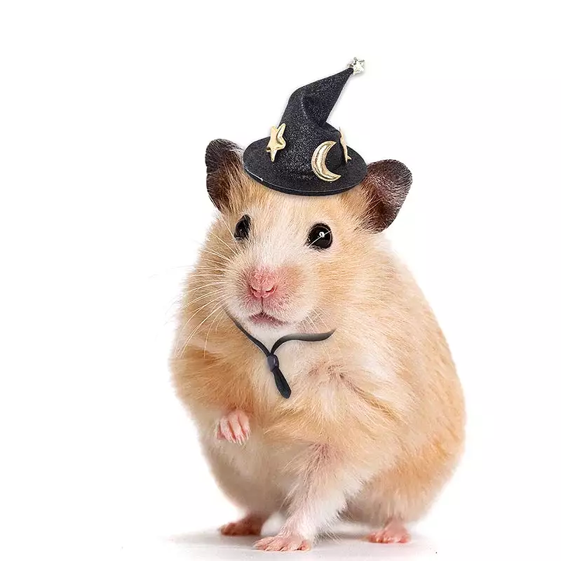 Mini Witch Hat for Small Animals Adjustable Pet Headgear Hamster Rat Hats Halloween Cosplay Clothing guinea pigs assessories