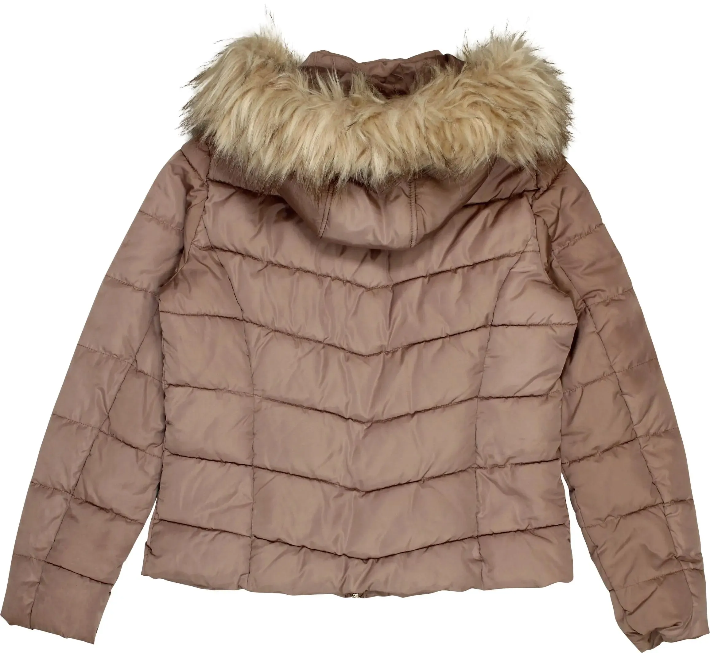 Padded Coat | ThriftTale