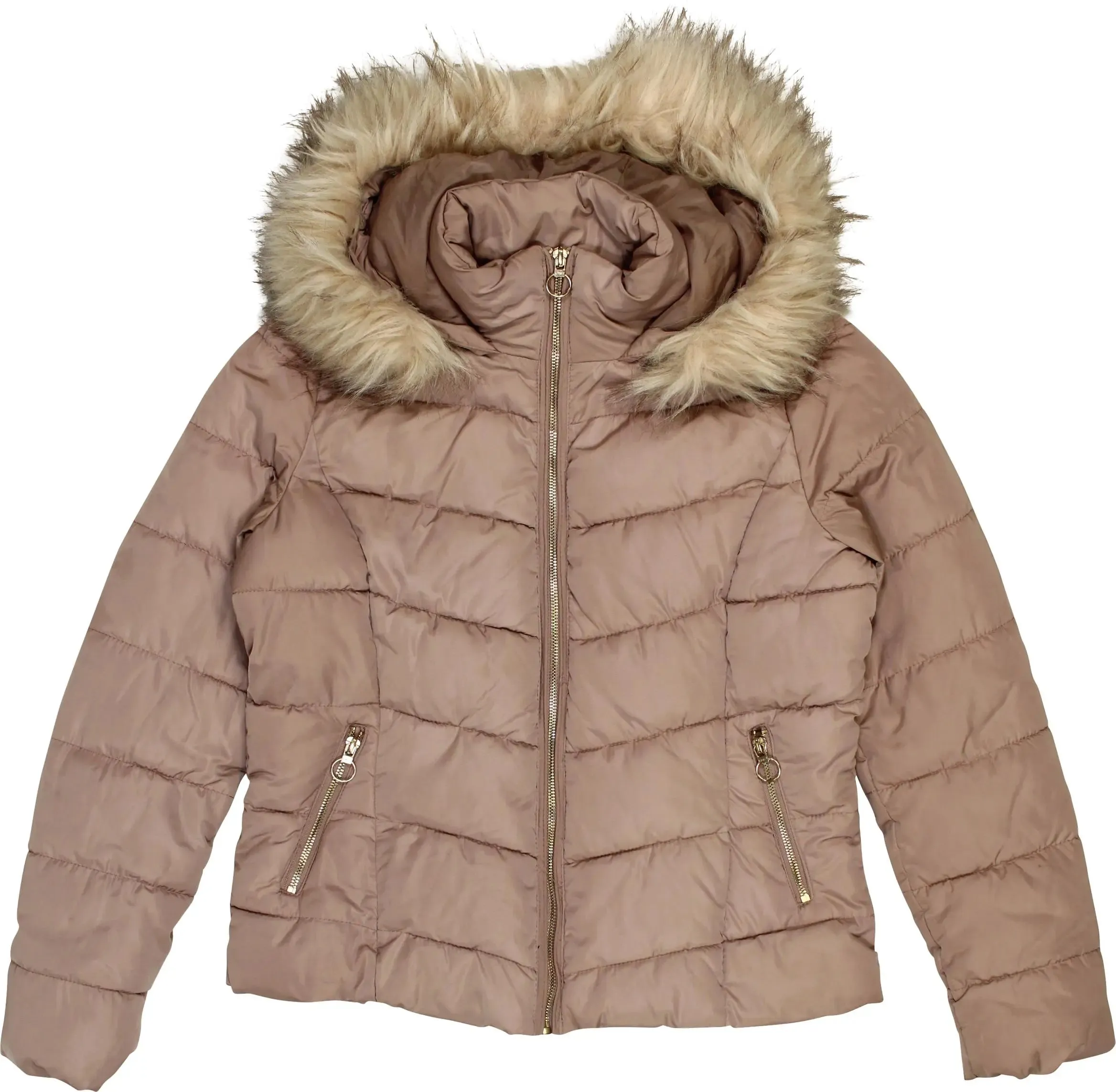 Padded Coat | ThriftTale